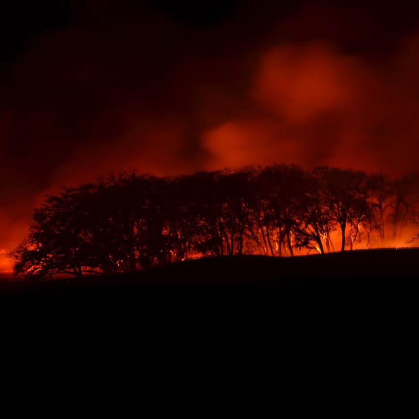 Oak Woodland Prescribed Burn at Night